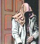 The Fly (short story)